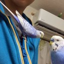 亀山 (@0523lafuKeikame) Twitter