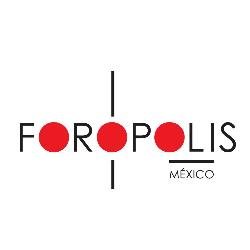 Planificación, Gestión y Producción de las Ciudades en México (OSC)