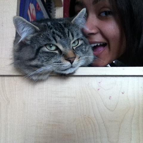 Nayma_Cookies's profile picture. About myself in less than a 160 characters, hmmm, let's see, well..