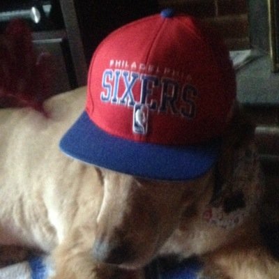 ollie_in_a_box's profile picture. 