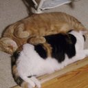 Samantha Rae Hoffman - @sr_hoffman - Twitter