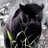 paulmathis41's profile image