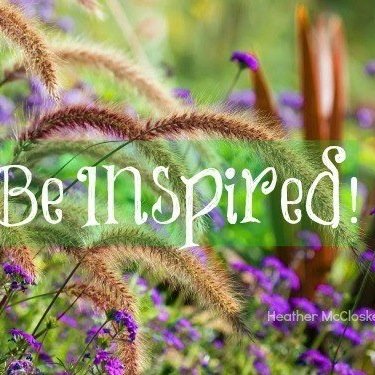 greenlollipops's profile picture. 