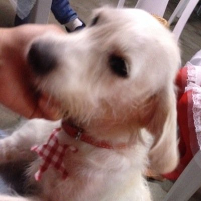 isabelavbraga's profile picture. 