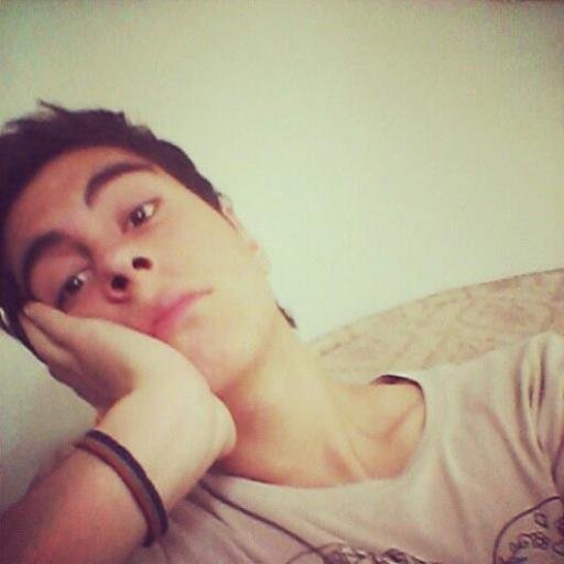 forest_elves's profile picture. Sebastián // 17 años // Santiago, Chile.