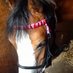 Horse_Gifts_Central (@horse_gifts_cen) Twitter profile photo