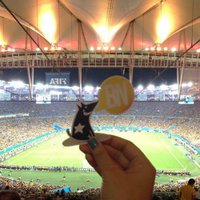 Botafogo News 2 (@botafogonews2) 's Twitter Profile