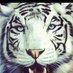 Kathy G B (@kgb444) Twitter profile photo