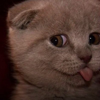 cocoflexing's profile picture. 