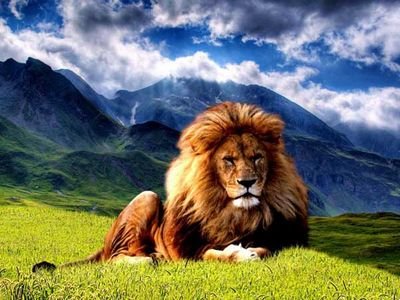 SunnyShair4432's profile picture. 