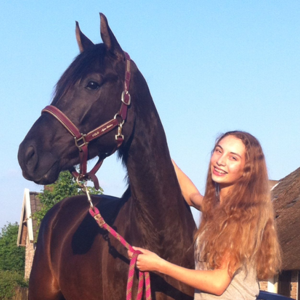 xxmazarinew's profile picture. Don't dream your life, live your dream ~two times Dutch champion dressage ~ music ~ VIA models