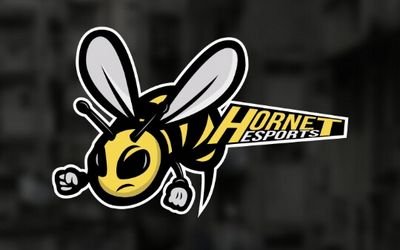 Use discount code HorneteSports for 5% off @CinchGaming products. 360 SnD CoD Team. Roster: @Sledrow,@YungGawd_Ta,@__george_m,@HalfwayHavok