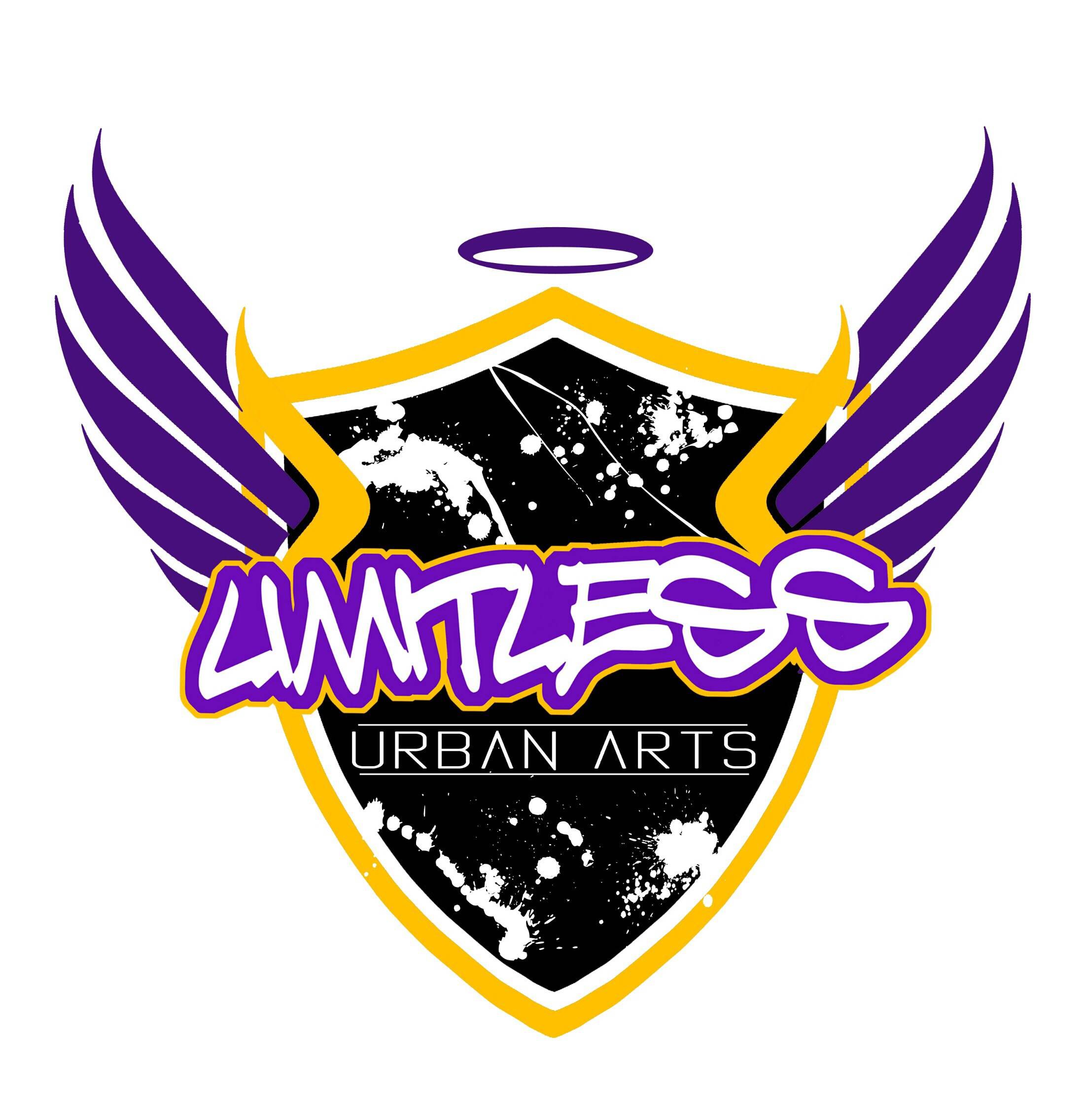 limitless is made up of profesional graffiti artists . We run workshops, canvases, murals for bedrooms an busineses for more info limitlessurbanarts@gmail.com