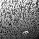 Andy Coe - @andreleaocosta - Twitter