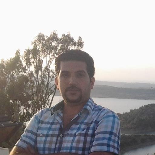 Data scientist