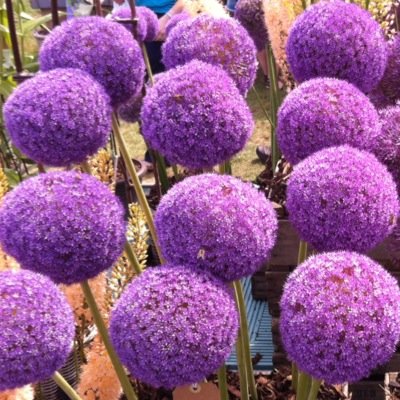 cottamarts's profile picture. I am an artist + art educator. I deliver workshops + creative projects in schools and local venues.
Totally in love with colour ❤️🧡💛💚💙💜 #creativity