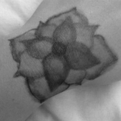 catsfriend17's profile picture. 17|bi|self harm|depression|social anxiety| USA| class of 2015