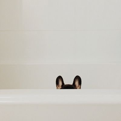 いつも適当に生きてます...人生なるようになるさね^^