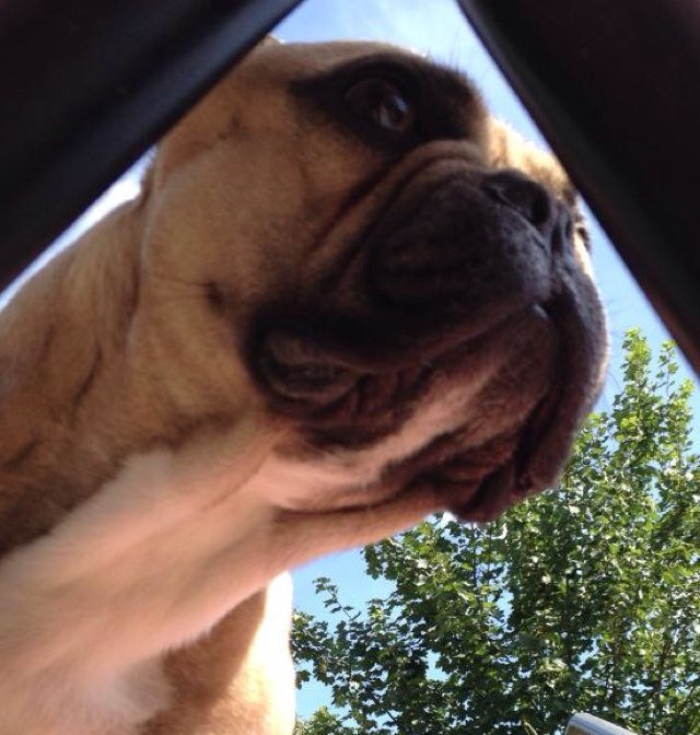 DylanSmirnov's profile picture. 