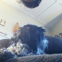 Renee  LaBonte - @PEBS44 - Twitter