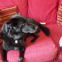 iona marshall - @ionmar111 - Twitter