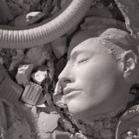 Parker Shipp (@shippfacedeth) 's Twitter Profile Photo