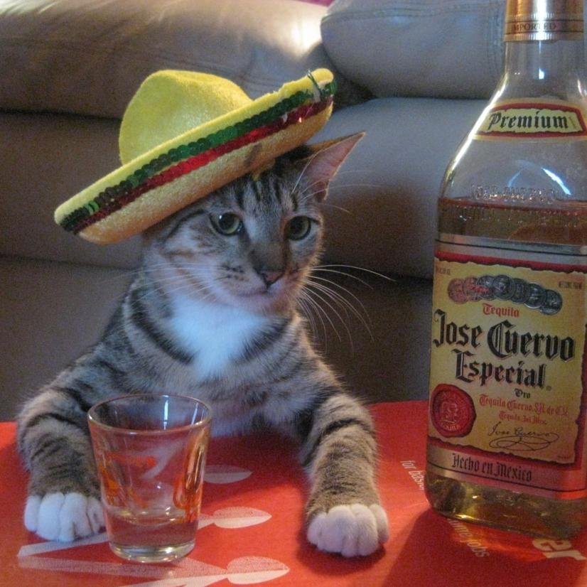 nandafporto's profile picture. Não estou disposta