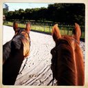 Kim Wilkinson - @emrtkim - Twitter