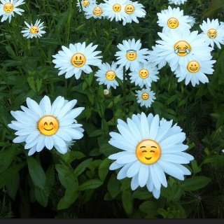 drewtequila's profile picture. ♡fuck u and your cute face♡