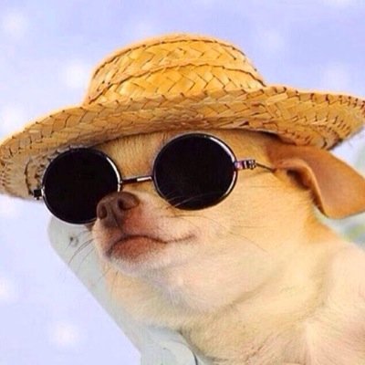 basicbandnerd Profile Picture