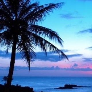 Yamato0226_k's profile picture. 高木小→関学中/野球部/3F/西宮市