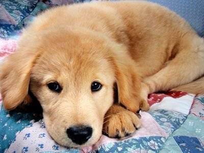 amy_oritz's profile picture. 