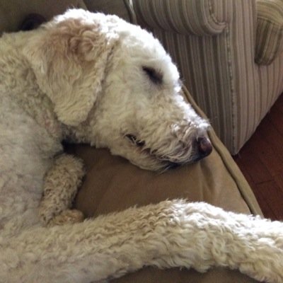 drecktx's profile picture. 