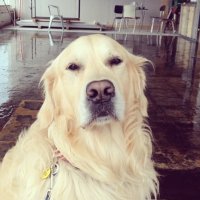 Tinni (@aevintyritinna) 's Twitter Profile