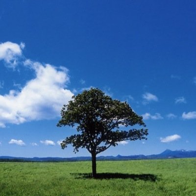 dareka_honne's profile picture. 誰かの本音をつぶやいていきます