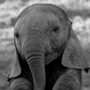 Darlene Haggerty - @DarleneHaggerty - Twitter