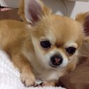 未希 (@11miki12) Twitter