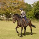 Jennie Mathews - @Madiaddi - Twitter