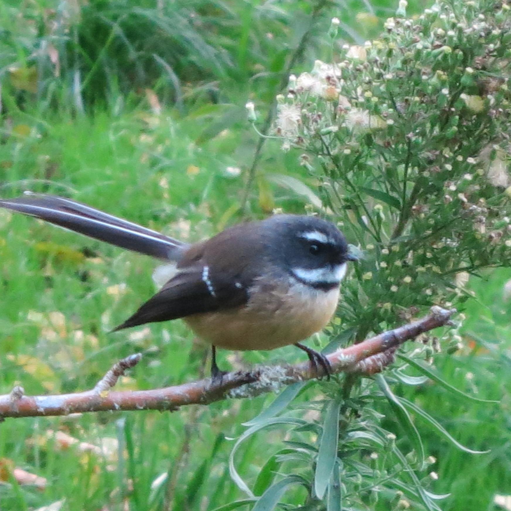 RealtimeSailor's profile picture. 