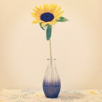 🌻 ryo takaishi🌻 (@r_takaishi) 's Twitter Profile