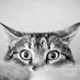 Nora (@sweet_rhythms) Twitter profile photo