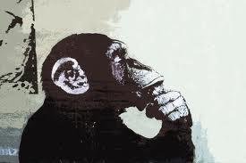 steven m yee Profile