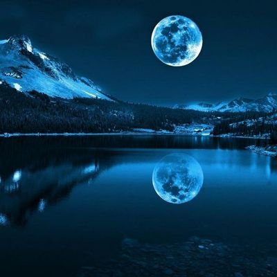 Lobo_alcassero's profile picture. 