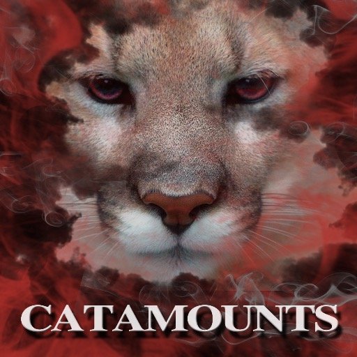 Dalton High Football Catamounts