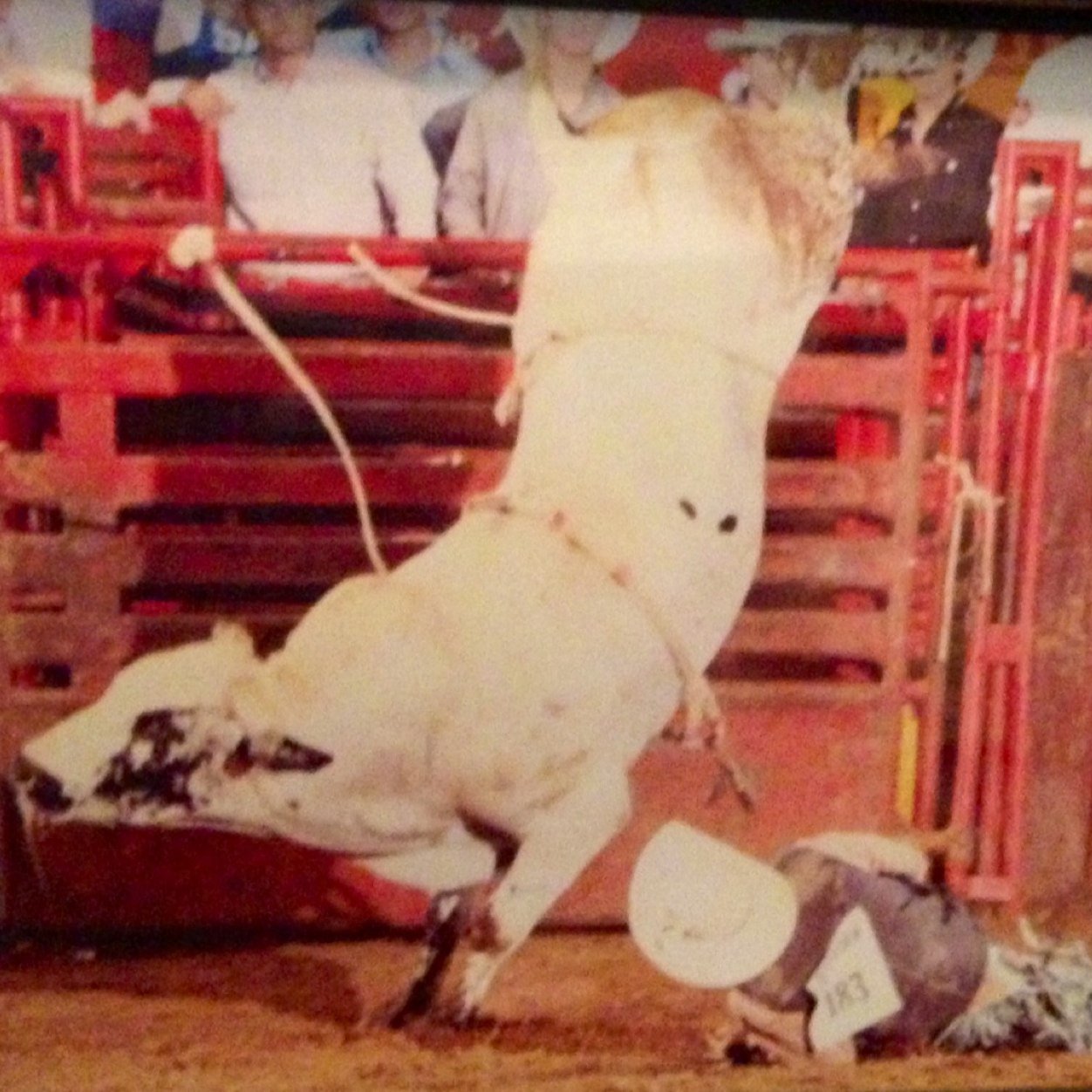 Northcutt Bucking Bulls is Located in Emory TX. Northcutt family strive to produce top bucking bulls for the world of Professional Bull Riding and Rodeo.