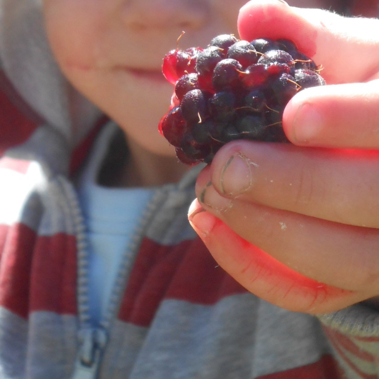 Flouriche...a haven for developing life.