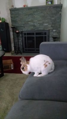 MerfromPRiver's profile picture. Teacher, yogini, fur-baby mama, karaoke singer, all-around funny & nice person with a twist. newly yt certified!