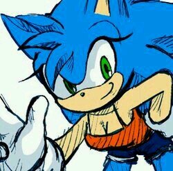 I'm Sonica the Hedgehog! Sonic's genderbent! Love running. Got time to worry? Just run! Cause nothing starts till you take action! ⭐#BlueTrueMobianHero⭐