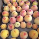 Sharon Adam - @Adamcrewx5 - Twitter