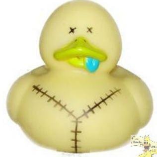A girl, living life when your ducks just won't stay in a row.